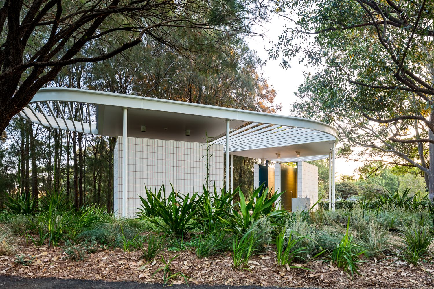 White brick park building with a sweeping curved roof, surrounded by native garden plants, mulch and eucalyptus trees.