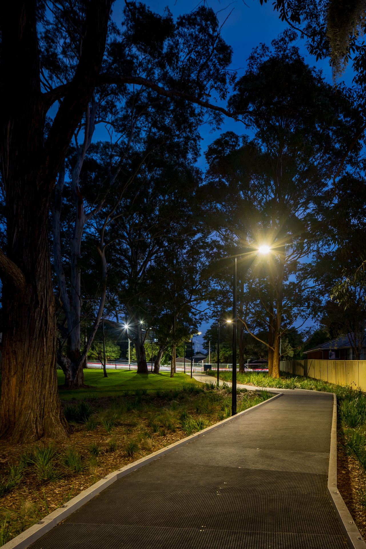 Illuminated curved footpath with street lamps winds through a grassy park lined with tall eucalyptus trees at dusk.