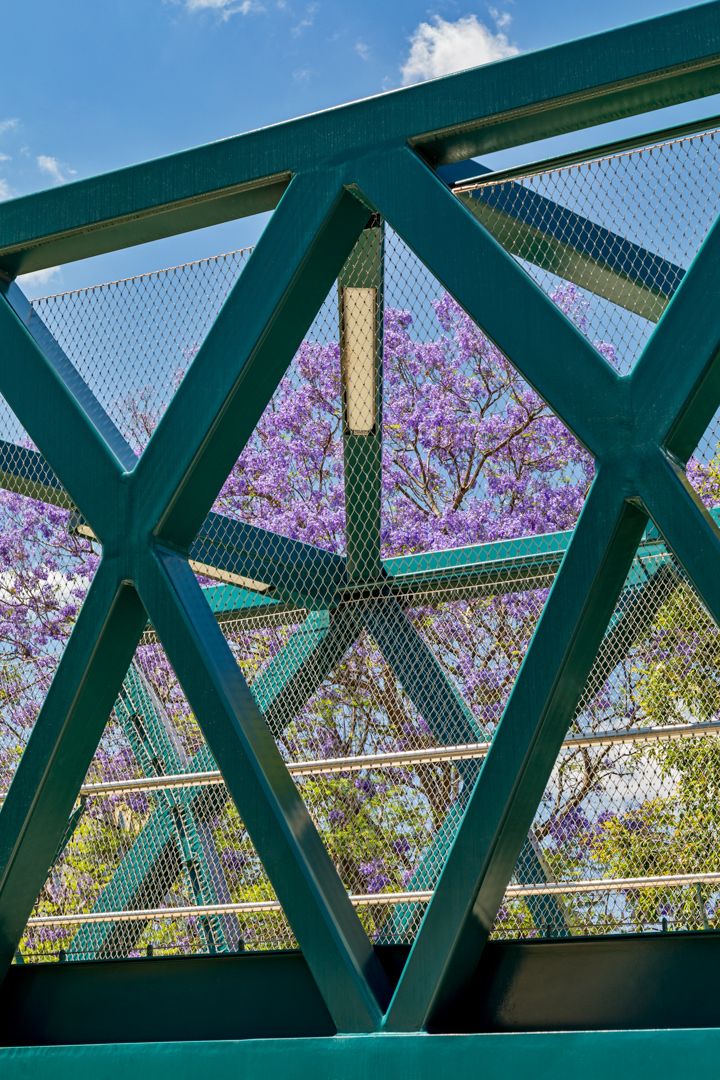 Green steel truss bridge with mesh railing framing a blooming purple jacaranda tree against a blue sky.