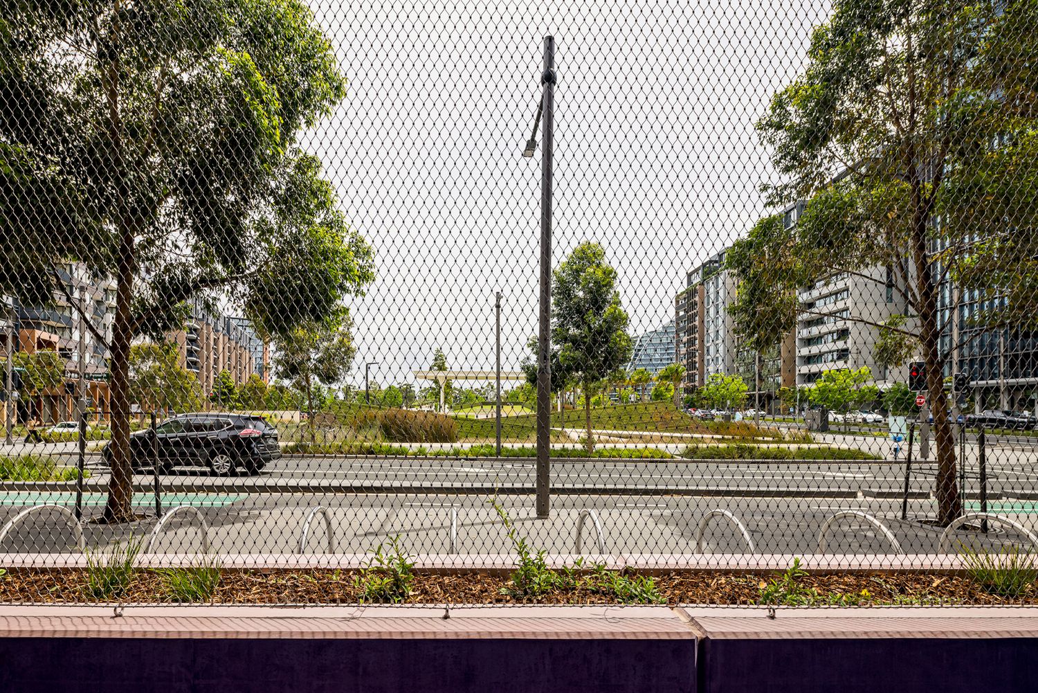 View through protective mesh fencing toward a planted garden strip, a quiet street and a parked car beneath mature trees.