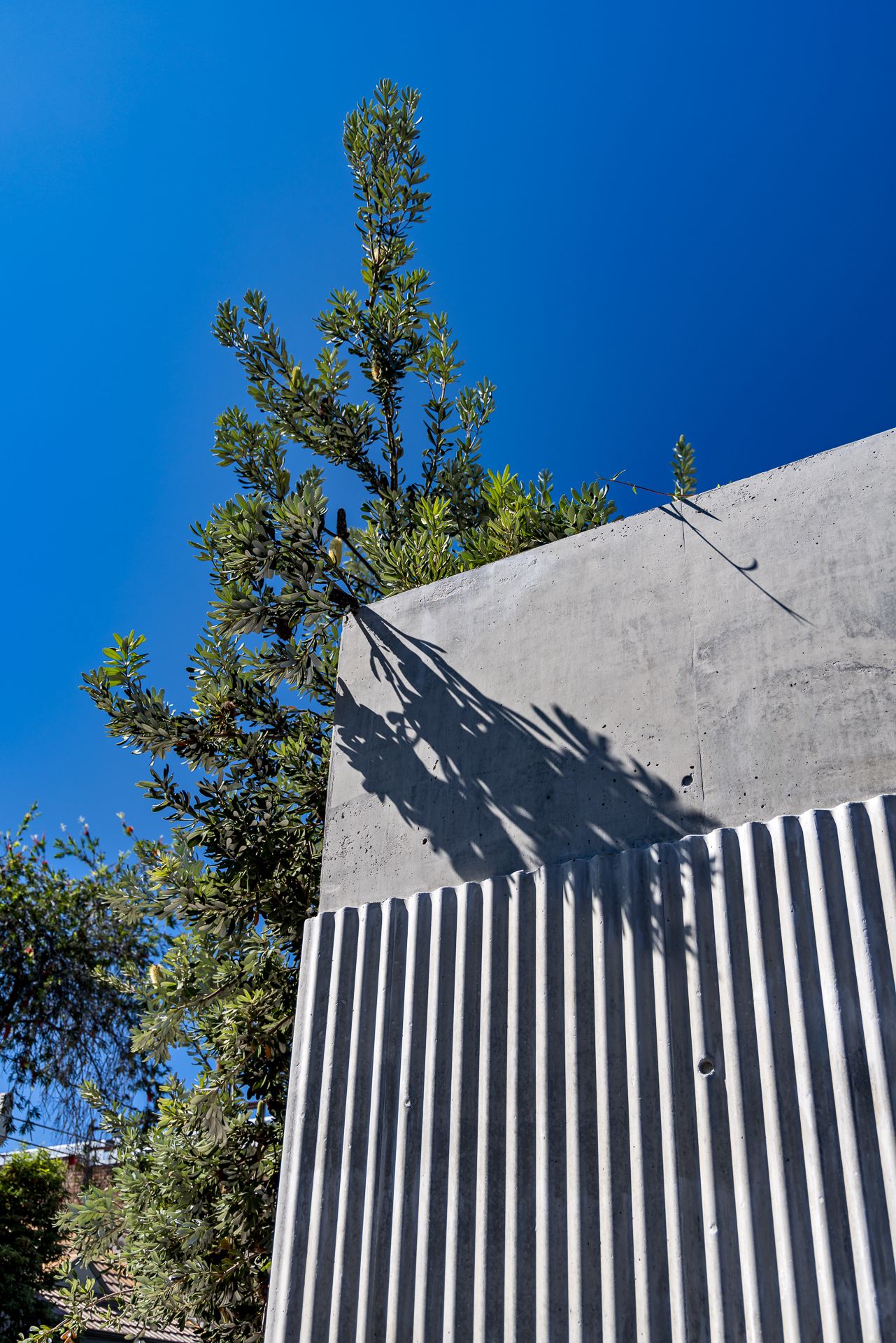 Raw concrete wall above a corrugated white fence, with a tree casting shadows across the surface under a deep blue sky.