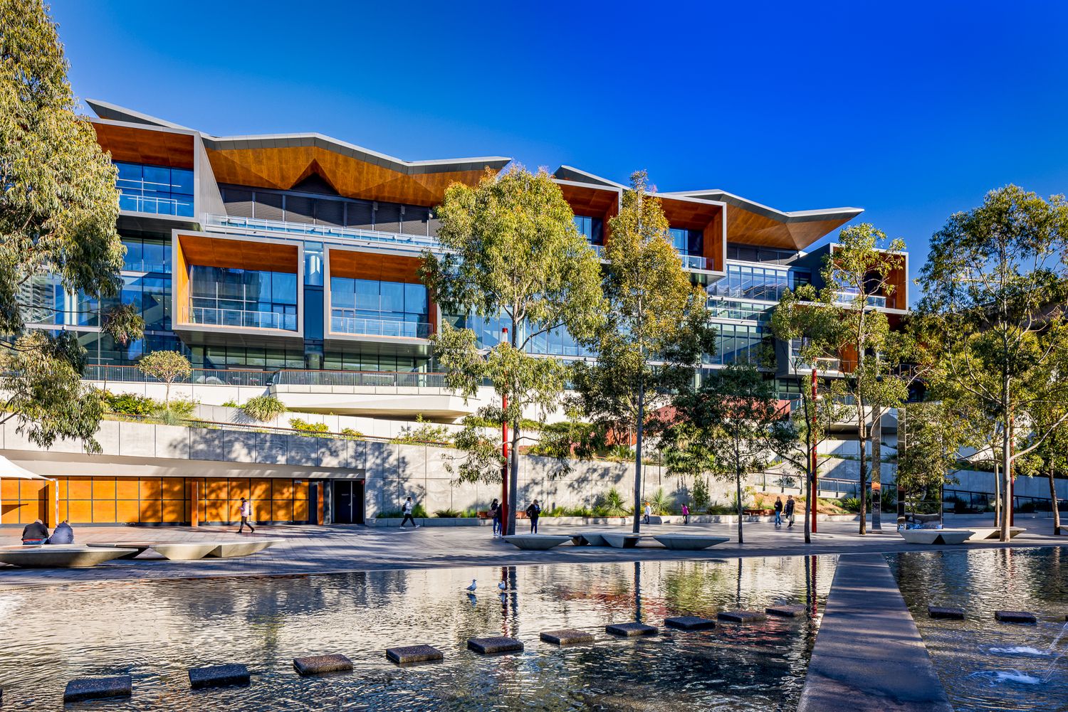 Timber and glass convention centre terraces behind eucalyptus trees and a reflective pool with stepping stones in sunlight.  ICC exhibition