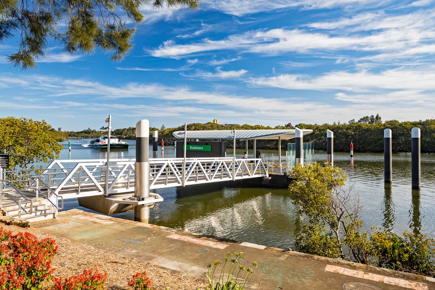 River ferry wharf with a covered pontoon and walkway under a blue sky with clouds, with garden plants in the foreground.