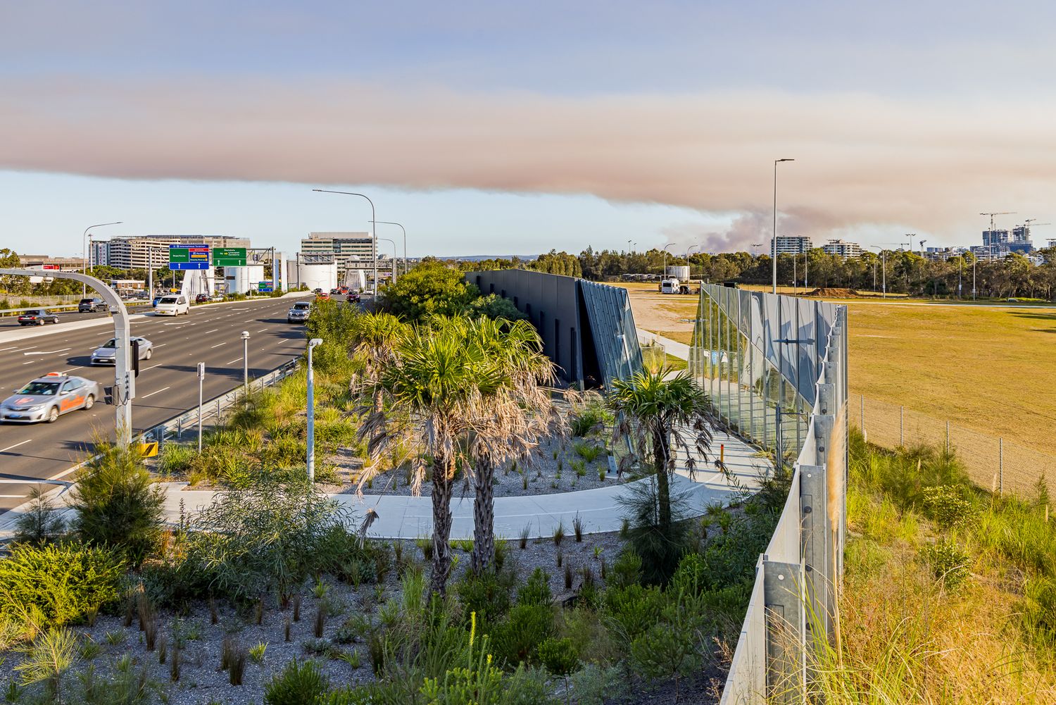 Highway embankment with palm trees, native plants and a sound barrier fence, with traffic on the road and open grassland nearby.