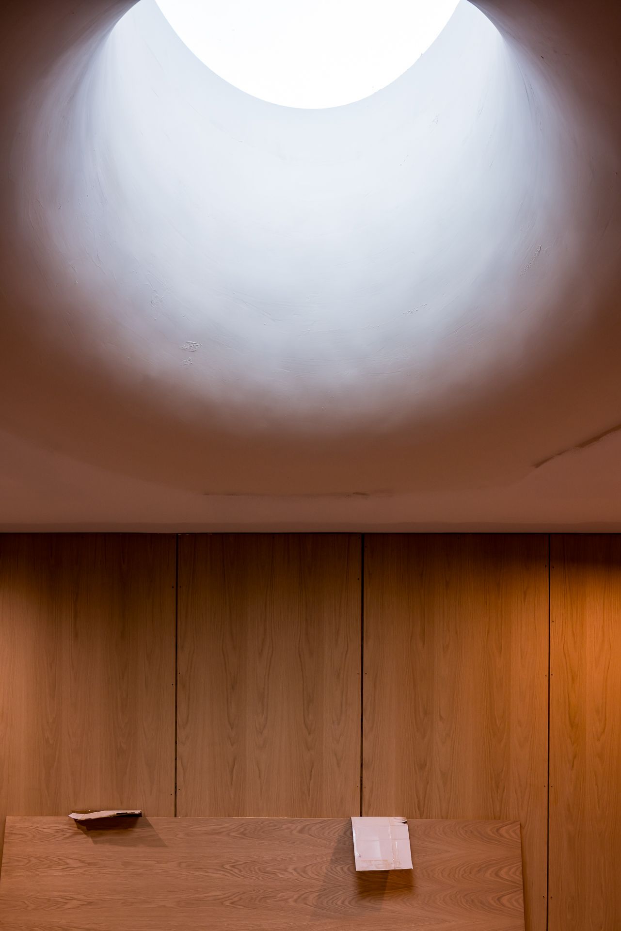 Round skylight casting soft natural light over a curved plaster ceiling above warm oak timber panelling.