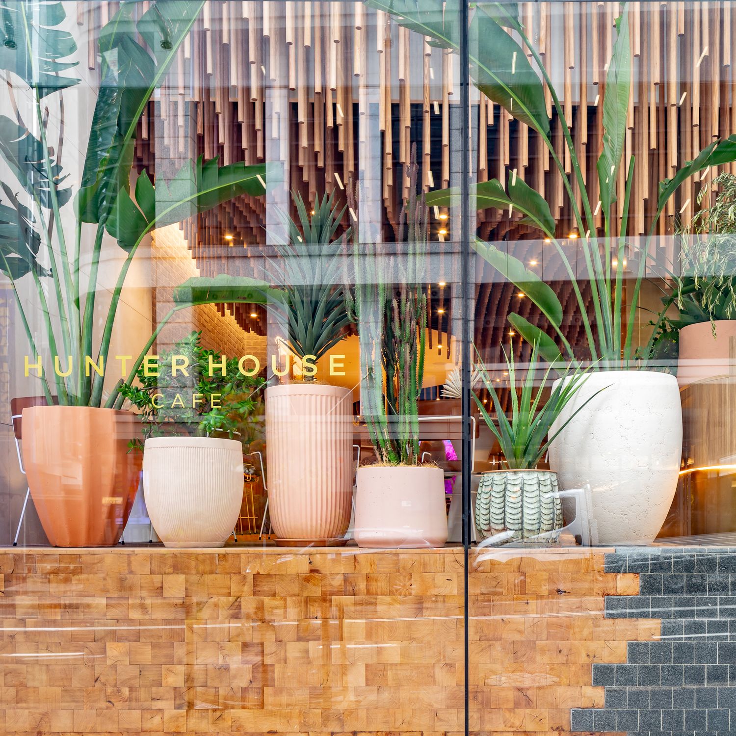 Hunter House Cafe window displaying terracotta and pink planters with tropical plants against a backdrop of timber tubes.