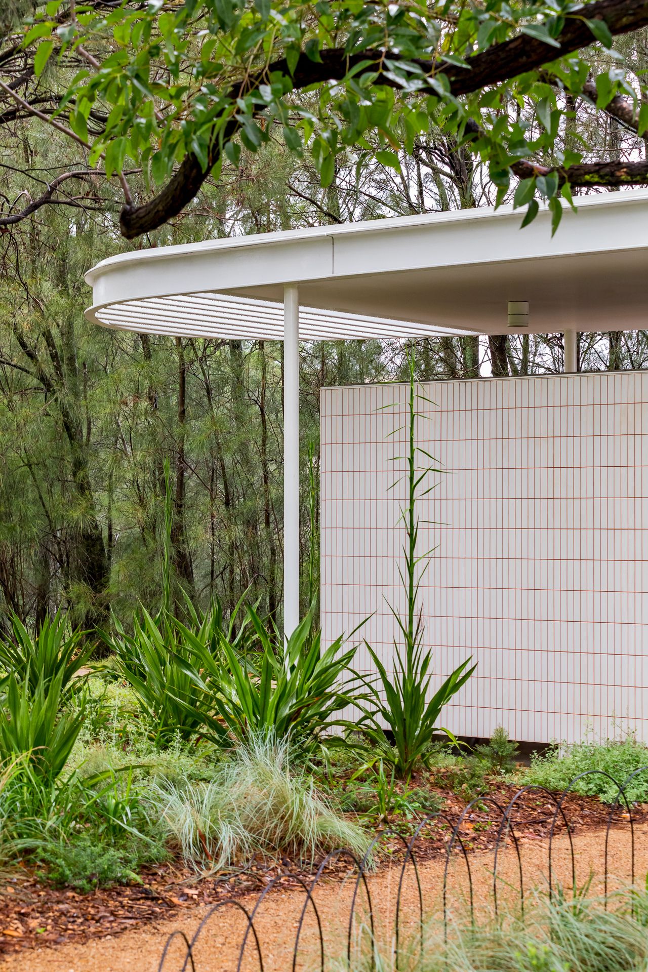 Curved white roof canopy and tiled wall surrounded by native grasses, spiky plants and bushland trees.
