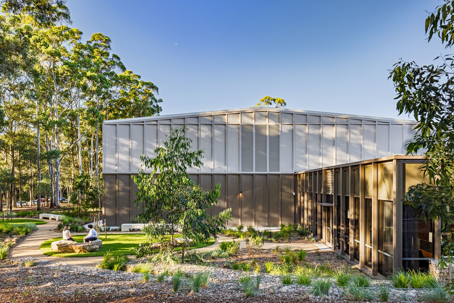 Contemporary building with metal cladding and timber detailing stands among eucalyptus trees with native landscaping in the foreground.