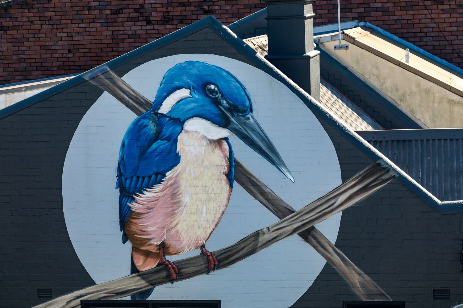Large mural of a blue and white kingfisher perched on a branch painted on the side of a brick building.