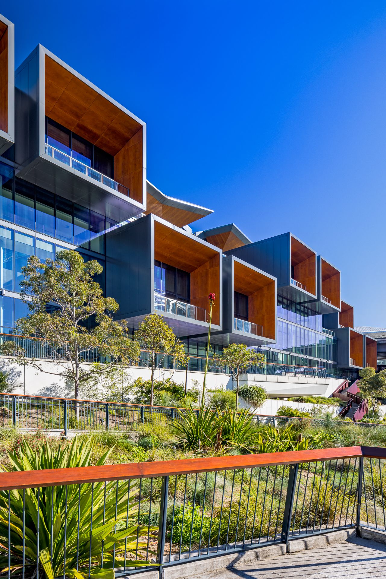 Contemporary apartment building with timber-clad balconies and glass walls overlooking a landscaped garden and walkway ICC exhibition centr