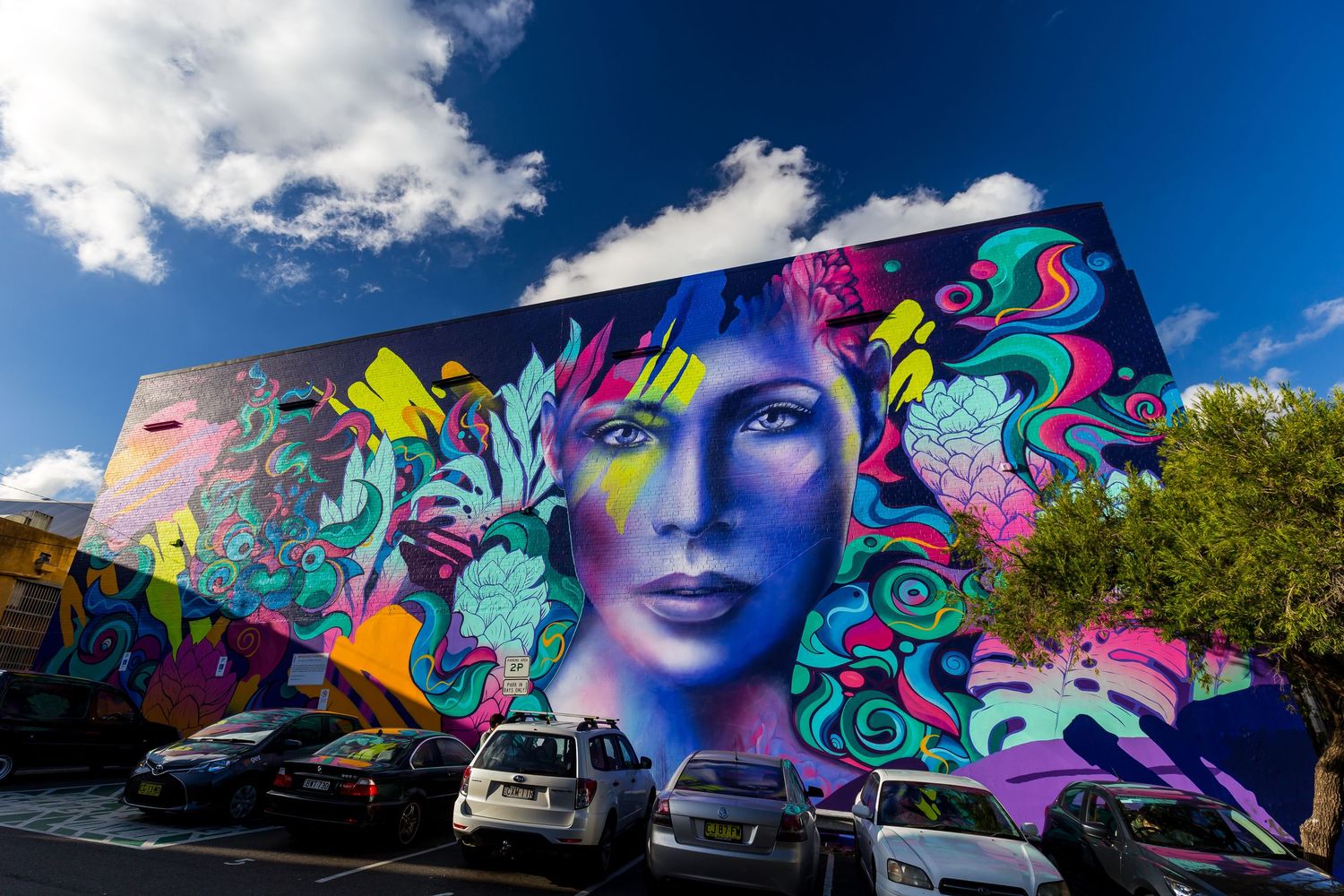 Vibrant street art mural of a woman's face surrounded by colorful abstract floral patterns on a building above parked cars.