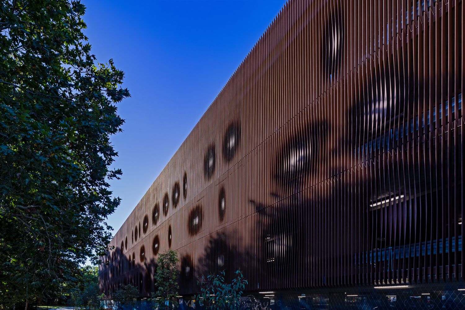 Modern building facade with vertical wooden slats and circular window openings, framed by green tree leaves against a deep blue sky.