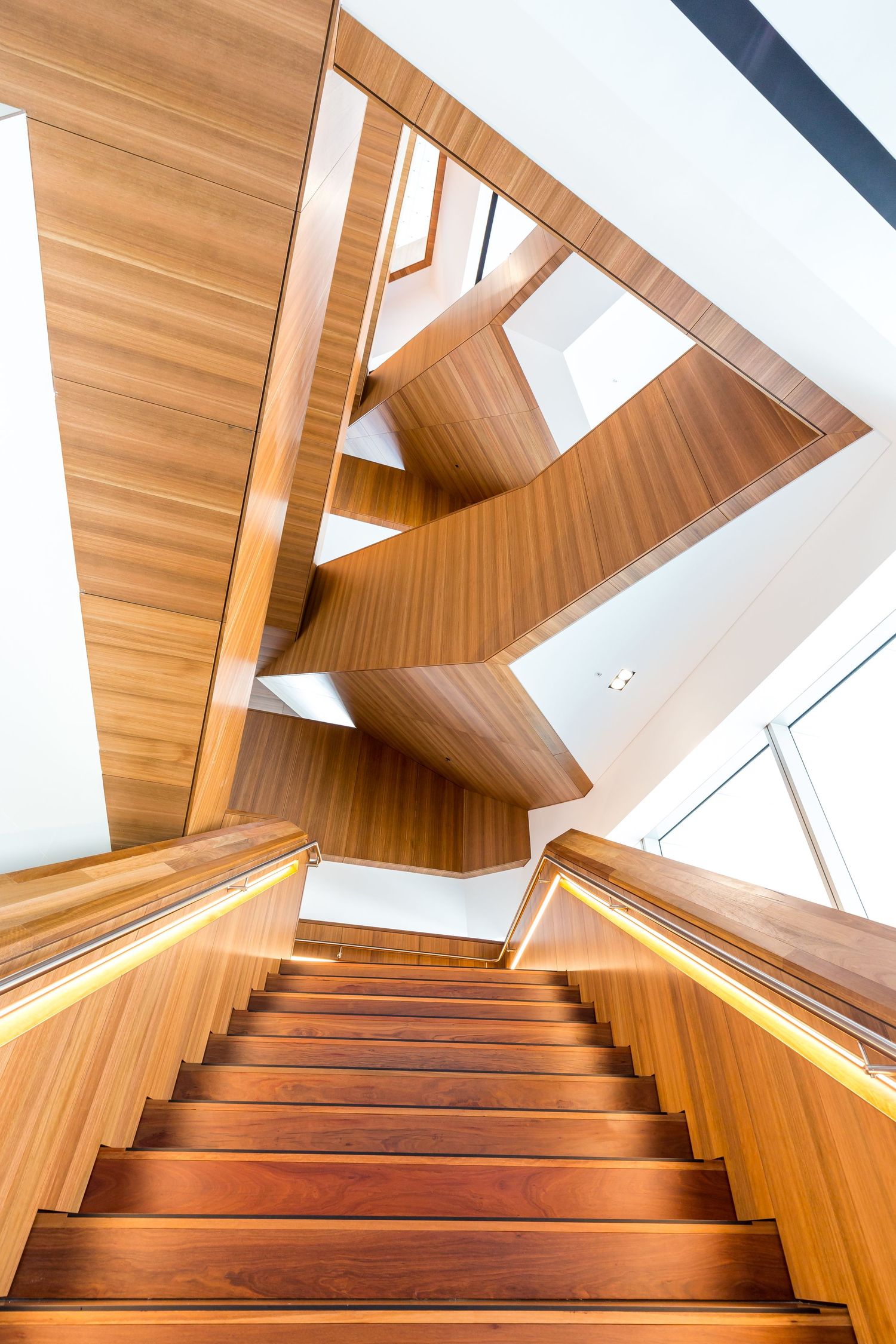 Looking up a warm timber staircase with glowing handrails toward sculptural wood-lined landings and skylights.