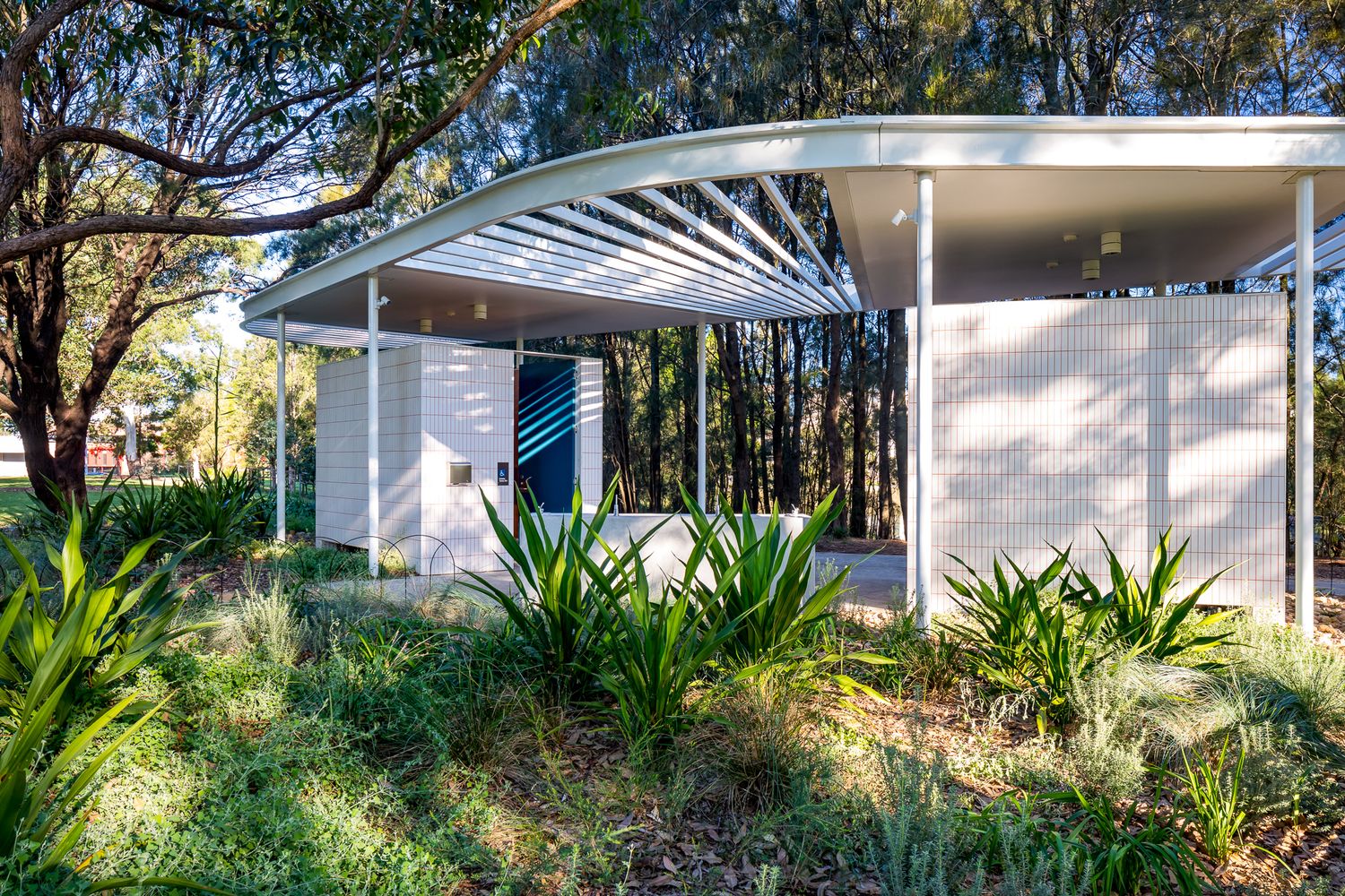 Low white pavilion with curved louvred roof and teal doors, framed by spiky native plants and bushland trees.
