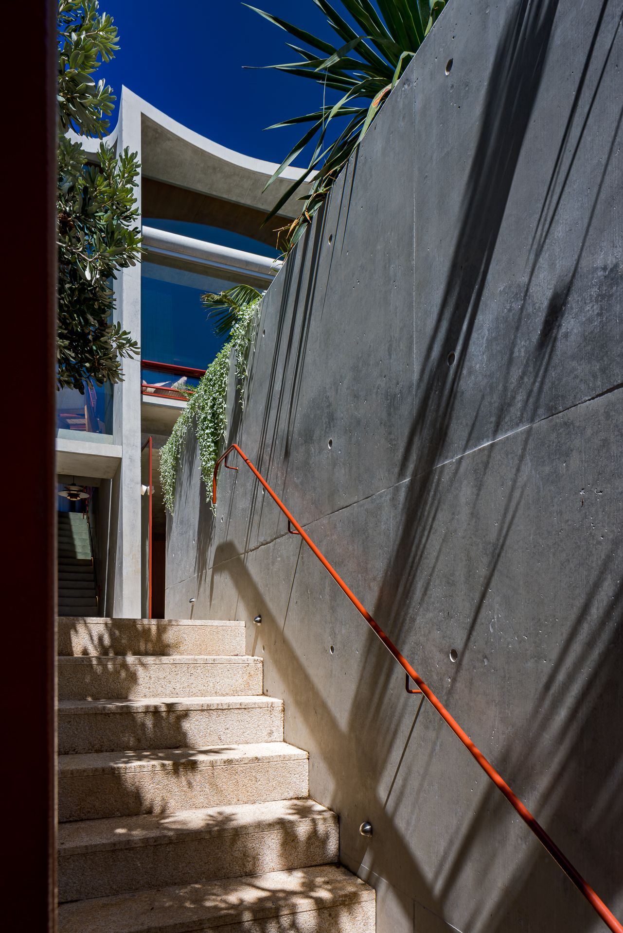 Sunlit concrete staircase with an orange handrail beside a textured wall draped in trailing green plants.