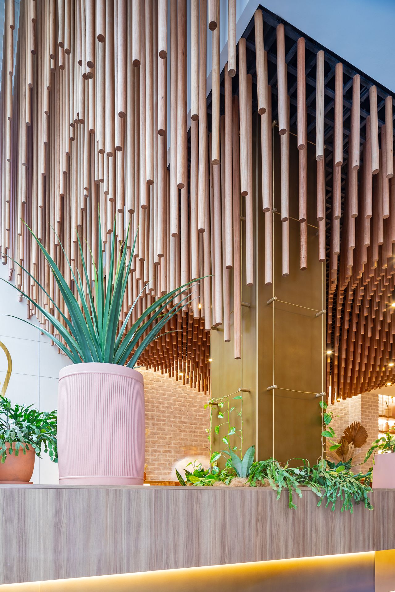 Large pink planter with a spiky green plant beside a wooden counter and a timber tube ceiling descending to a brass-clad column.