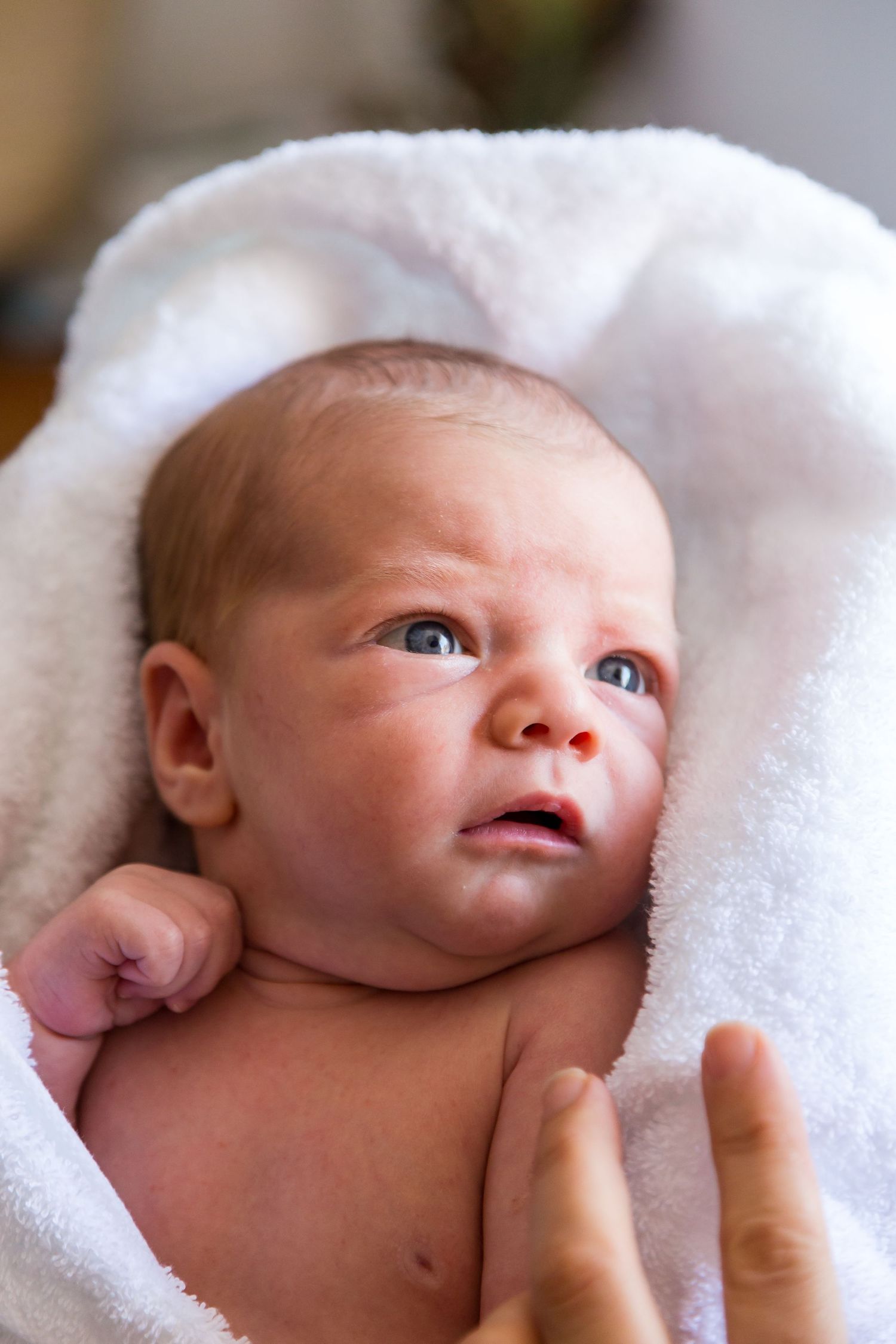 A newborn baby with wide eyes and a curious expression lies wrapped in a soft white towel while an adult's fingers rest nearby.