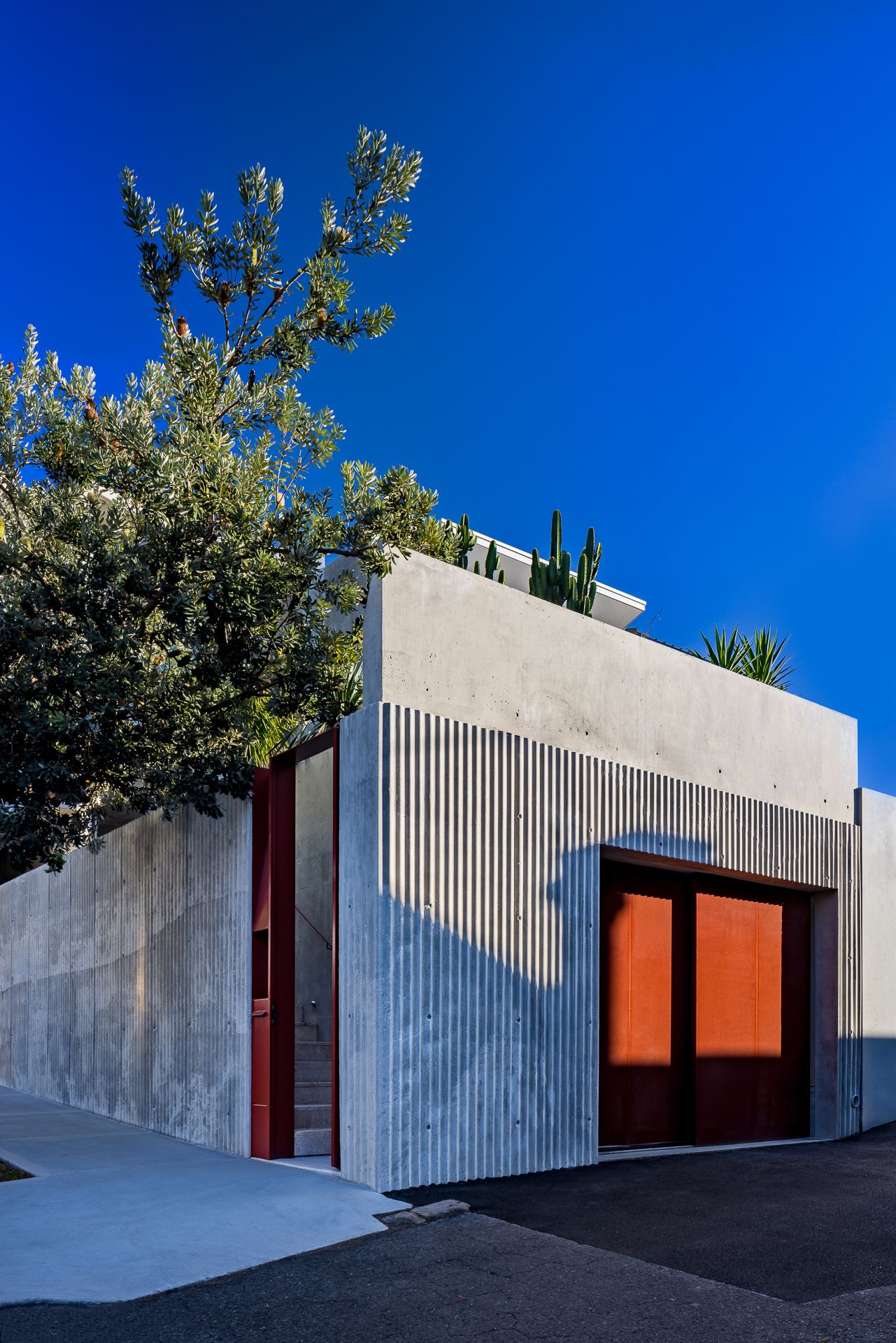 Corner view of a contemporary concrete home with ribbed walls, rust-colored garage doors, and a leafy tree under blue sky.