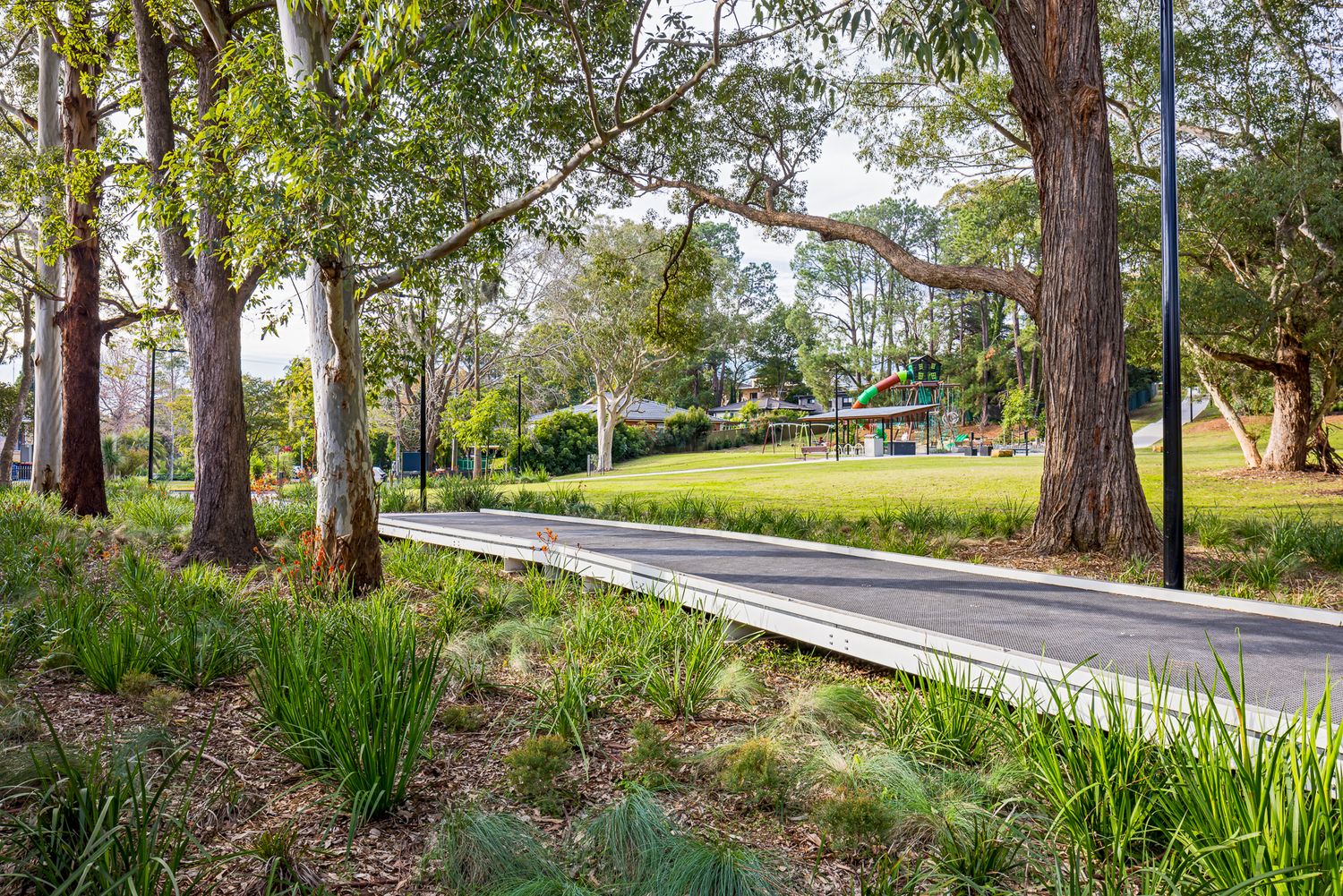 Wide concrete walking path curves past tall eucalyptus trees and native grasses toward a park playground in the distance.