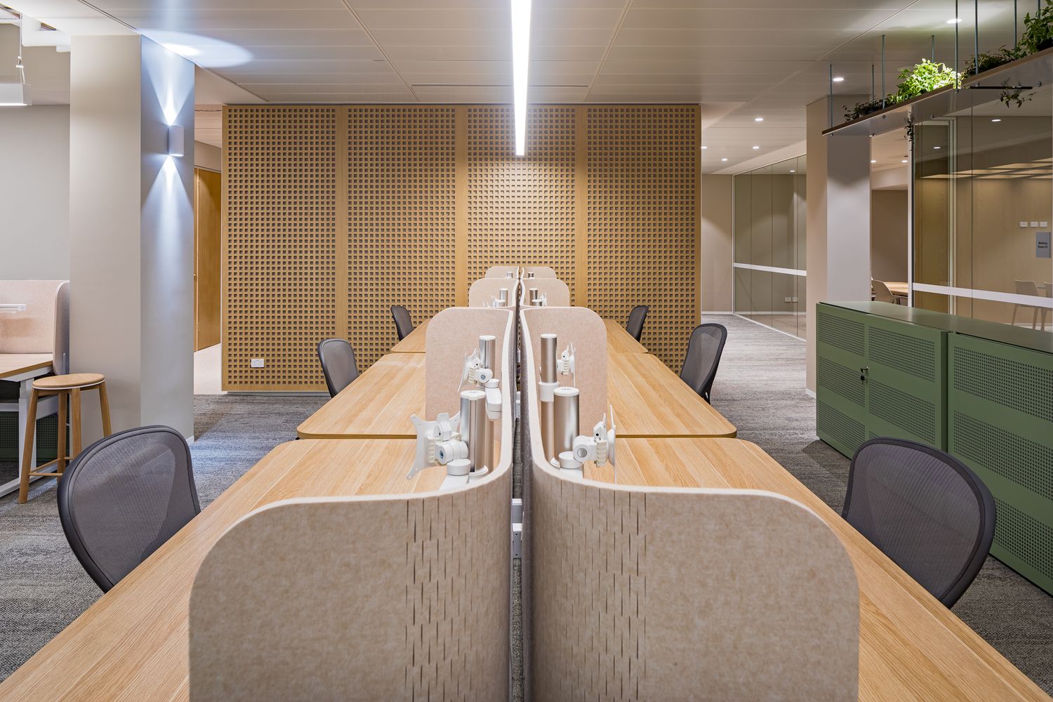 Long timber desks with fabric dividers, black chairs and warm wood panelling in a bright modern open-plan office.