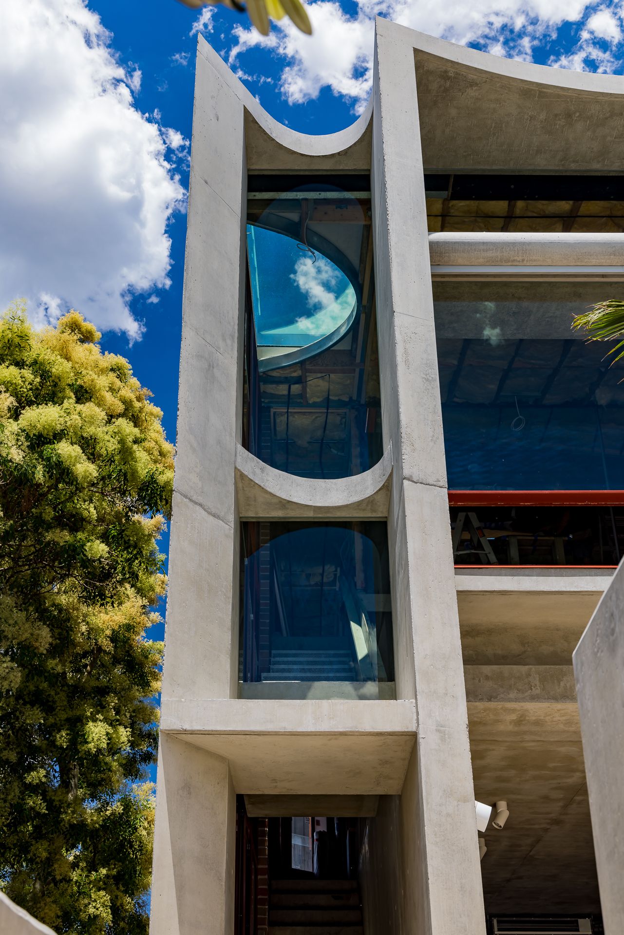 Modern concrete facade with curved arched openings and glass windows reflecting blue sky, beside a leafy tree.