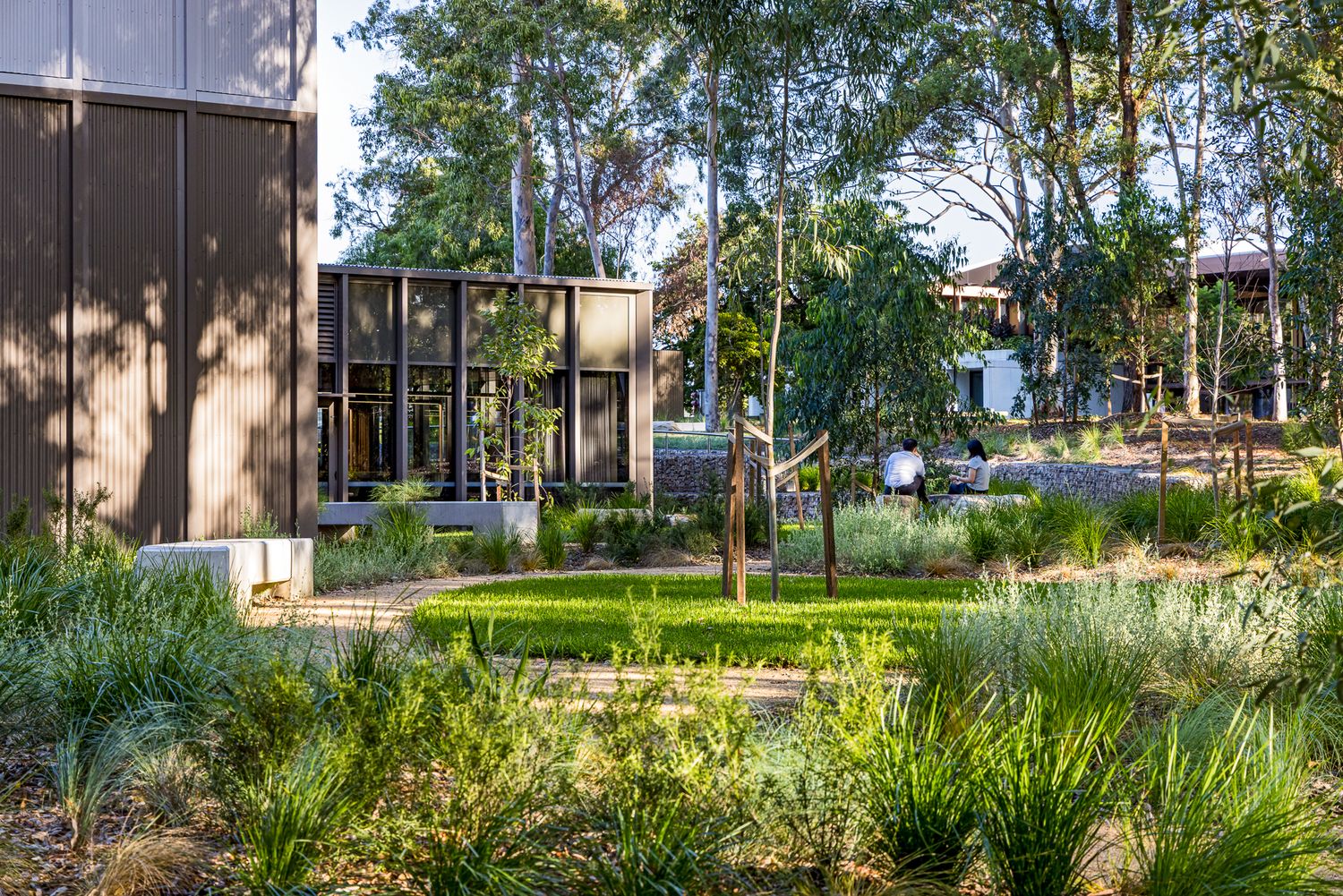 Landscaped native garden with grasses and shrubs leads to a contemporary timber-clad building with glass panels among tall trees.