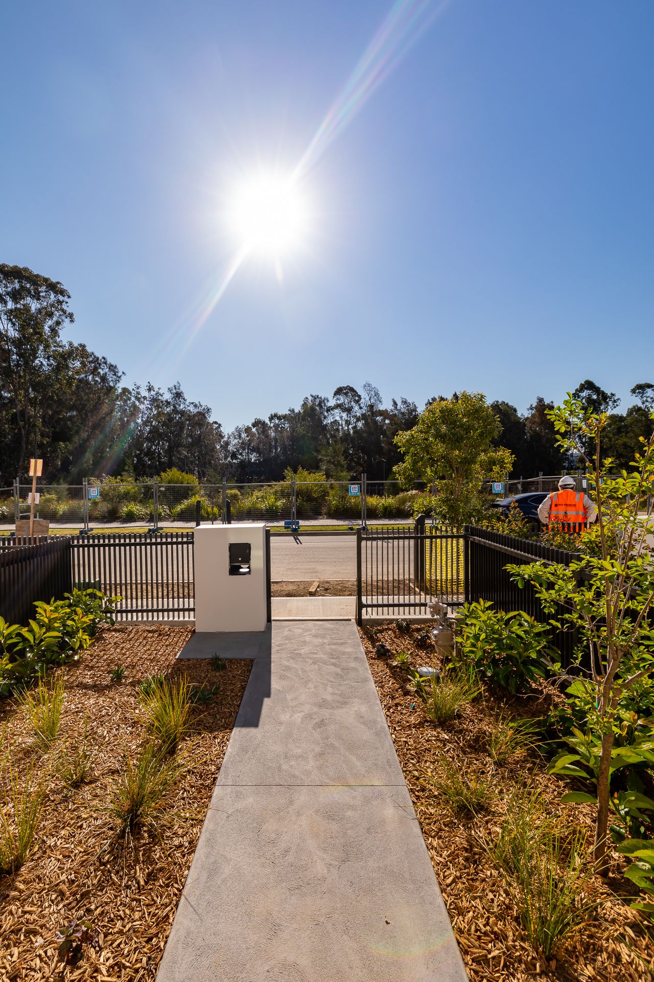 Concrete path leads to a new home's front gate and letterbox, framed by native garden beds with mulch and bright sun overhead.