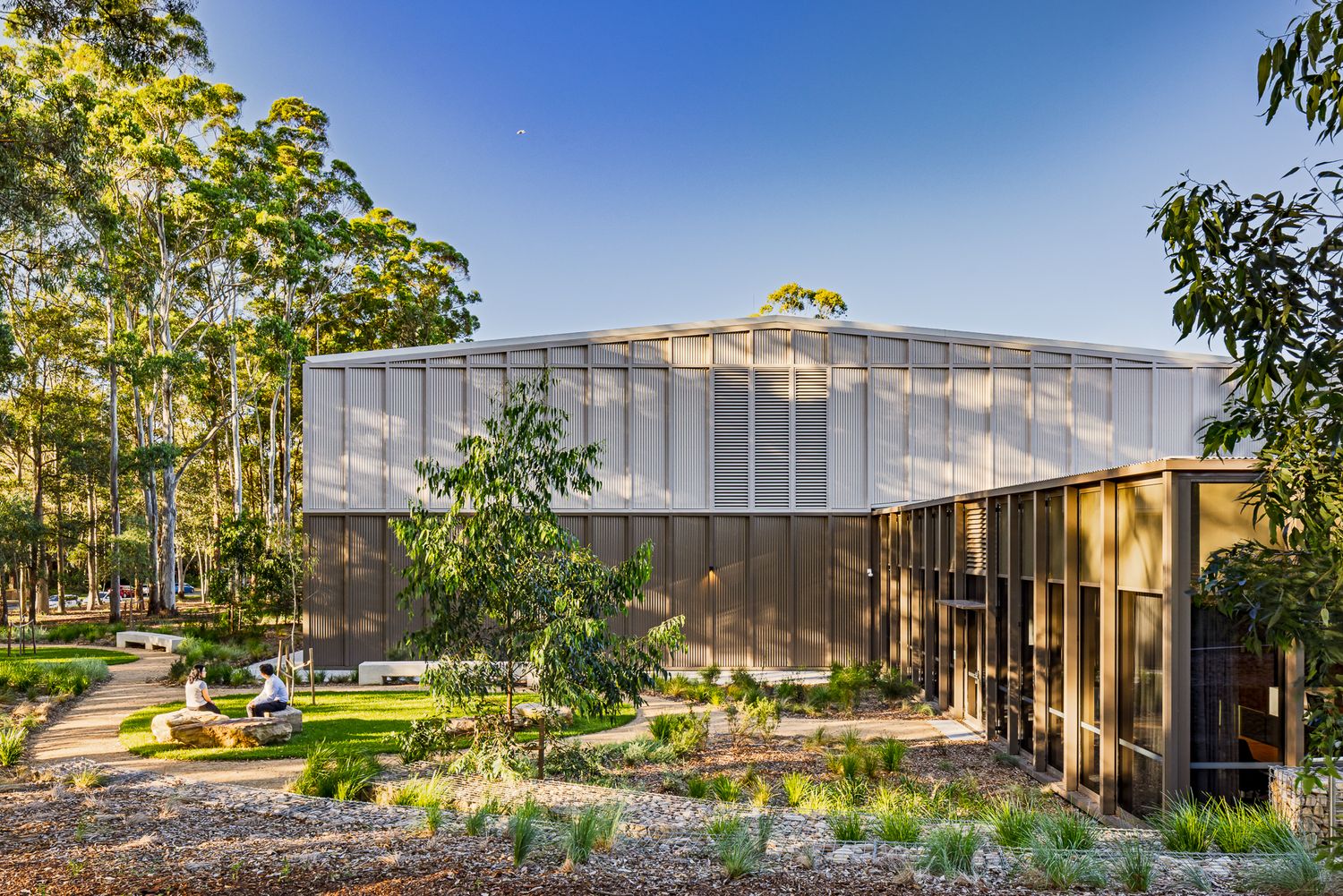 Modern architectural building with corrugated metal and timber cladding nestled among tall eucalyptus trees and native landscaped gardens.