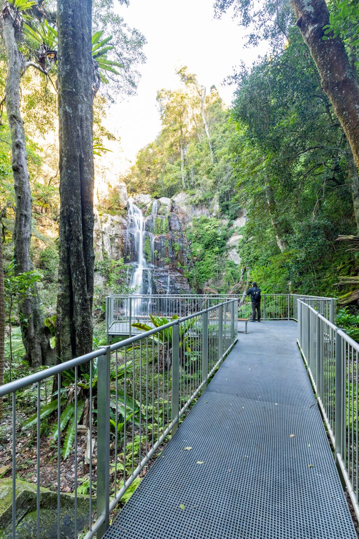 Visitor walks along a metal grated walkway through lush rainforest toward a cascading waterfall.