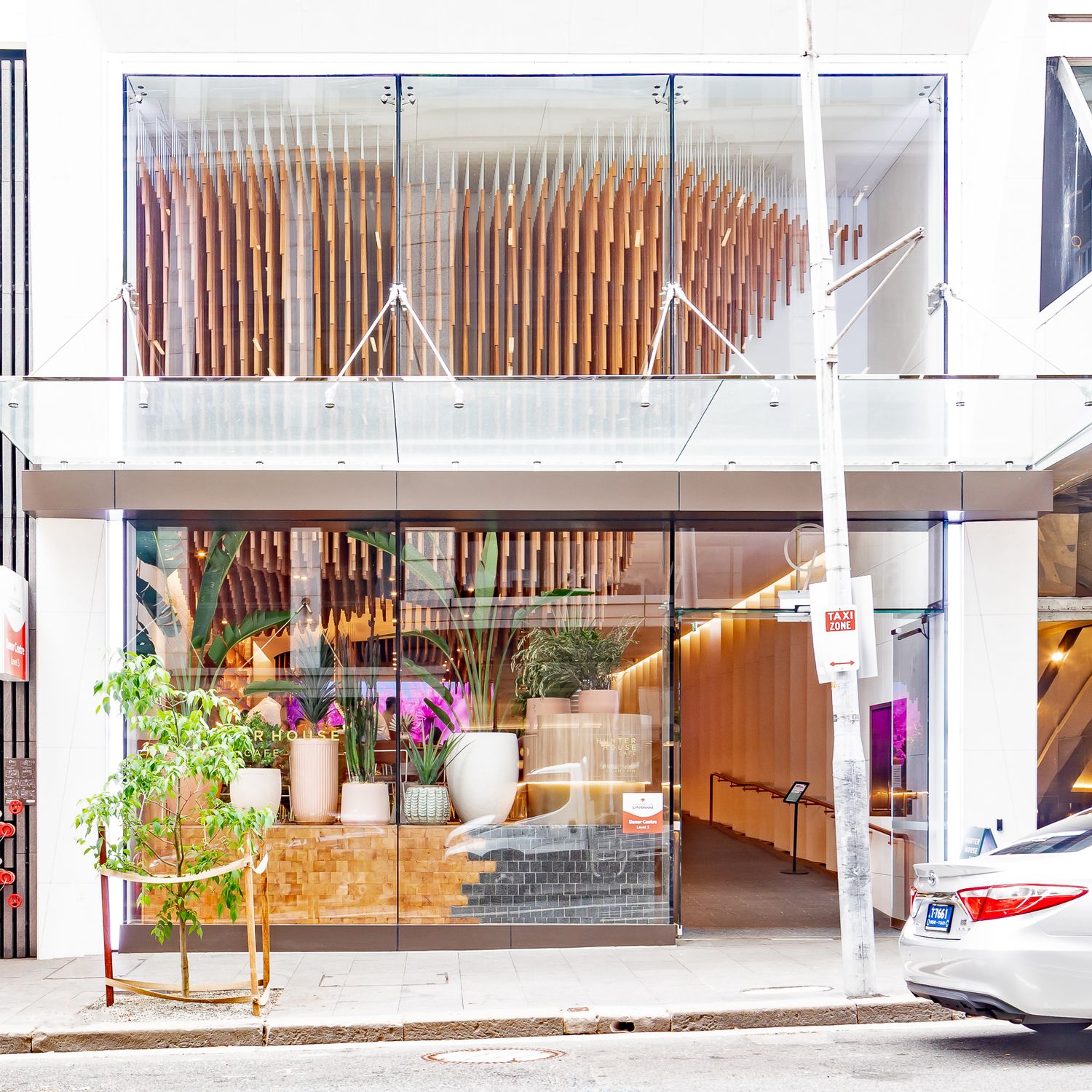 Street view of a modern cafe storefront with glass windows showing potted plants, flowers, and a timber tube ceiling feature.