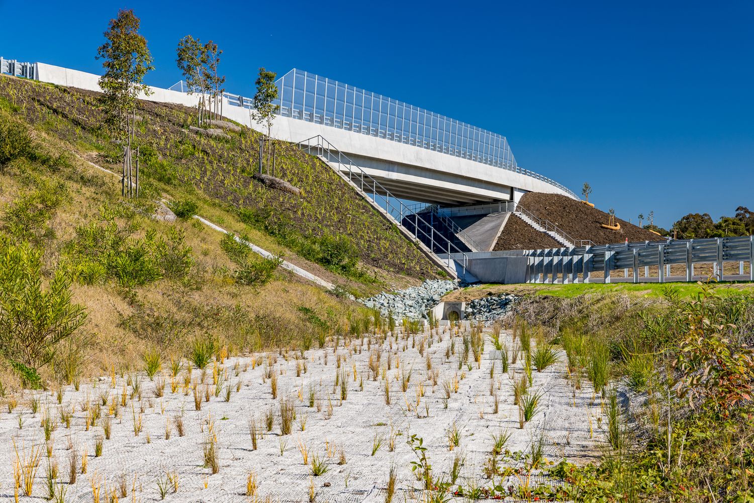 Motorway overpass with glass noise barrier above a landscaped hillside of young native plantings and rock-lined drainage.