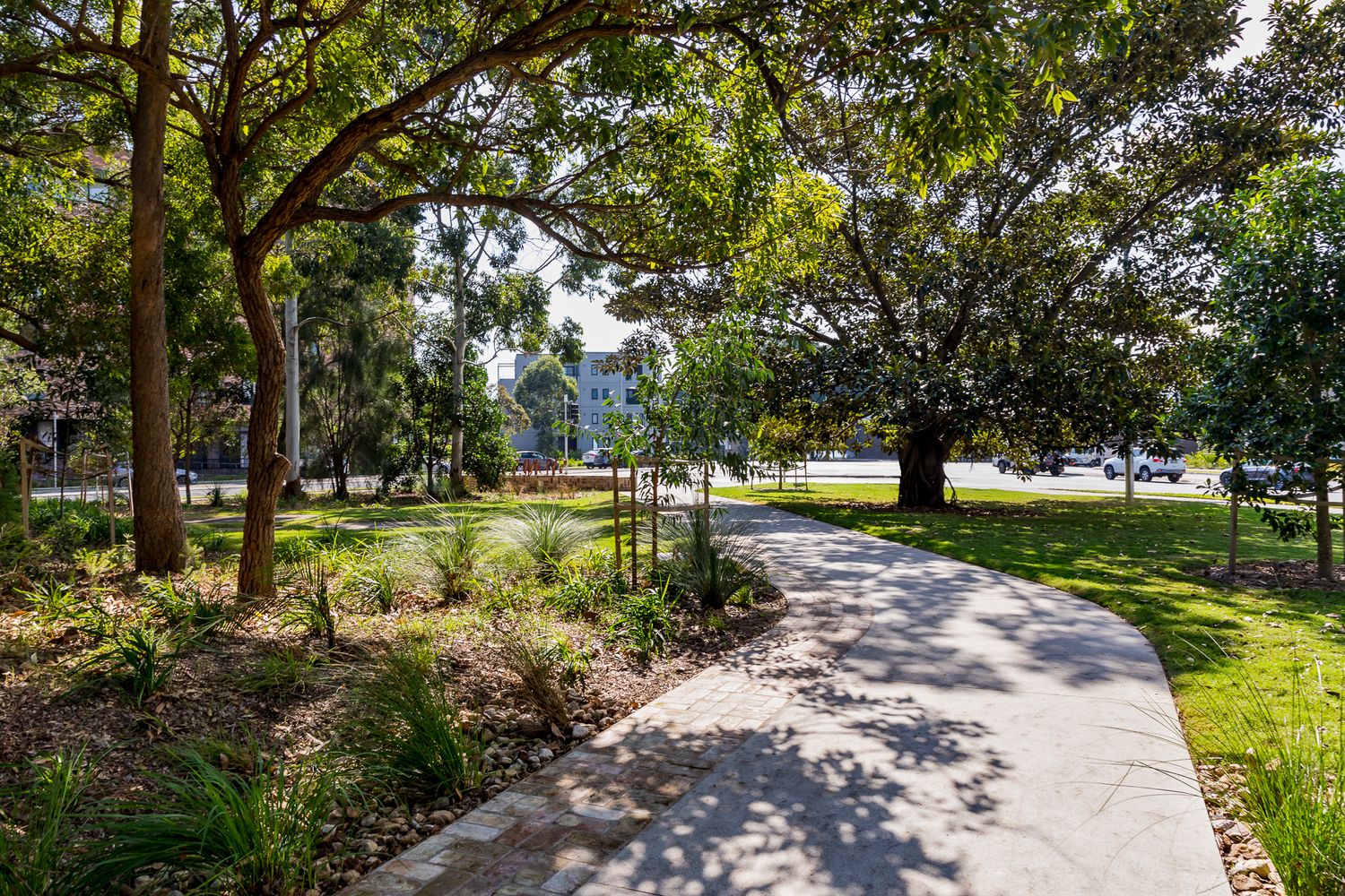 A curved concrete path winds through shady trees, garden beds and green lawn in a sunlit Sydney park.