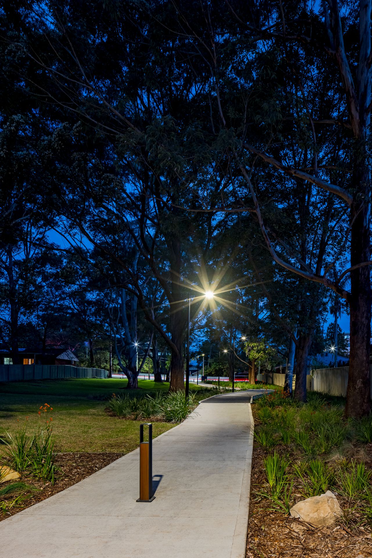 Illuminated concrete park pathway at dusk with bollard lighting, tall eucalyptus trees, native garden beds and a glowing street lamp.