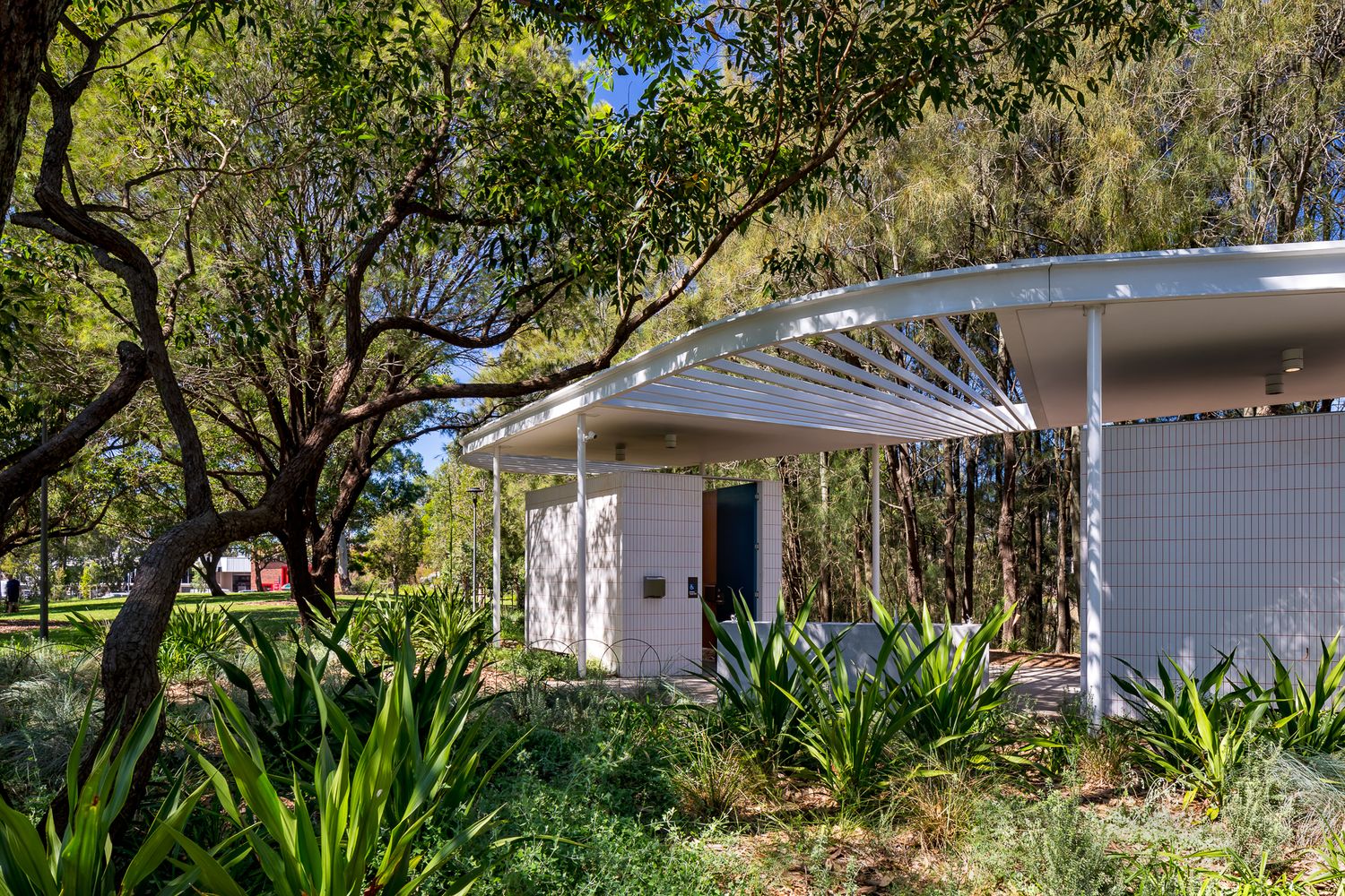 Close view of a modern park amenities building with a sweeping curved canopy, slender white columns and spiky green plants.