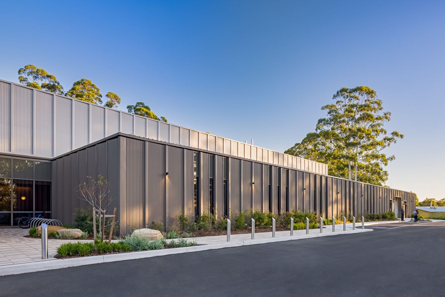 Long contemporary laboratory building with vertical metal cladding and a landscaped car park beside tall gum trees at sunset.