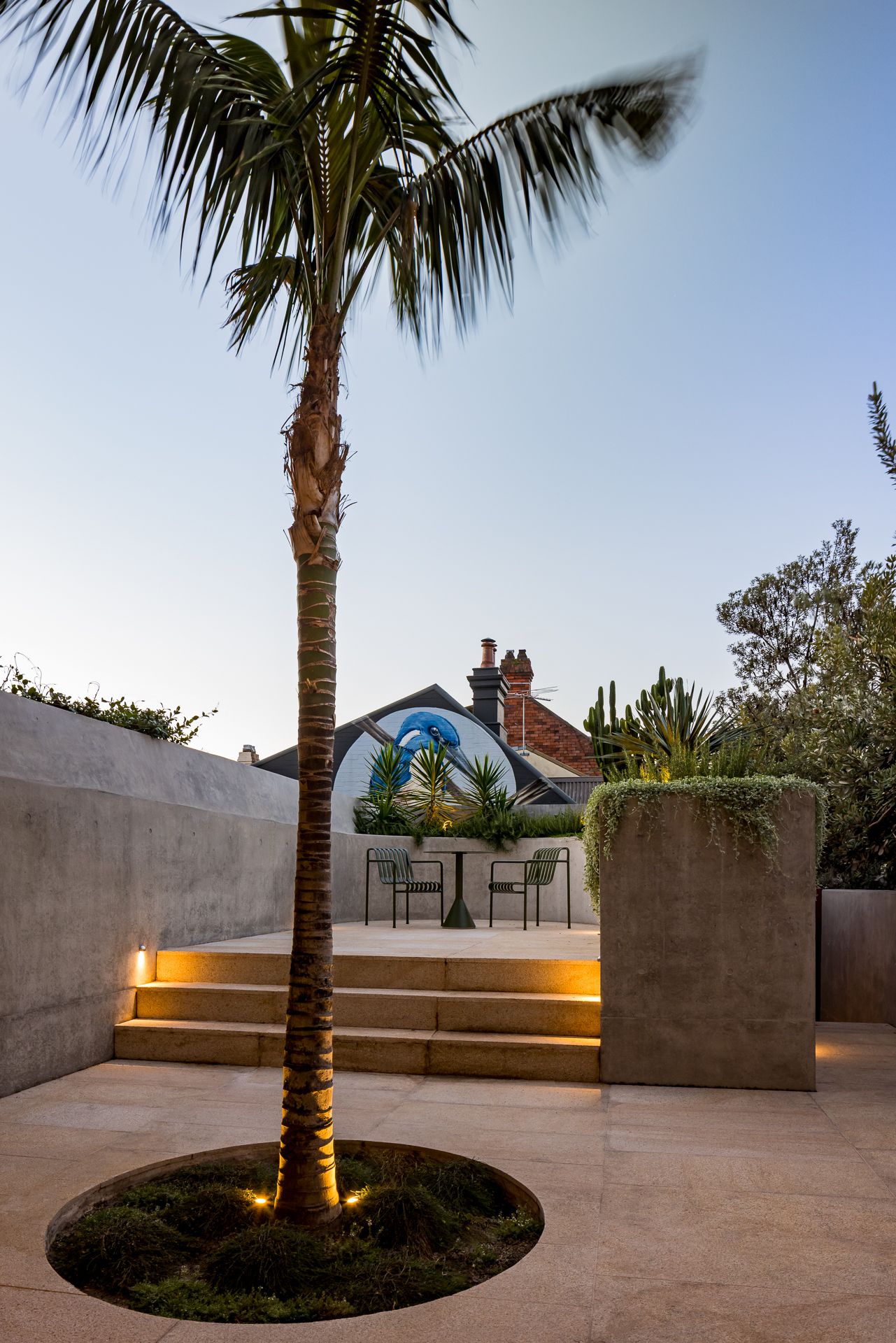 Palm tree in a circular planter on a stone courtyard, with lit steps, concrete walls, and outdoor chairs at dusk.