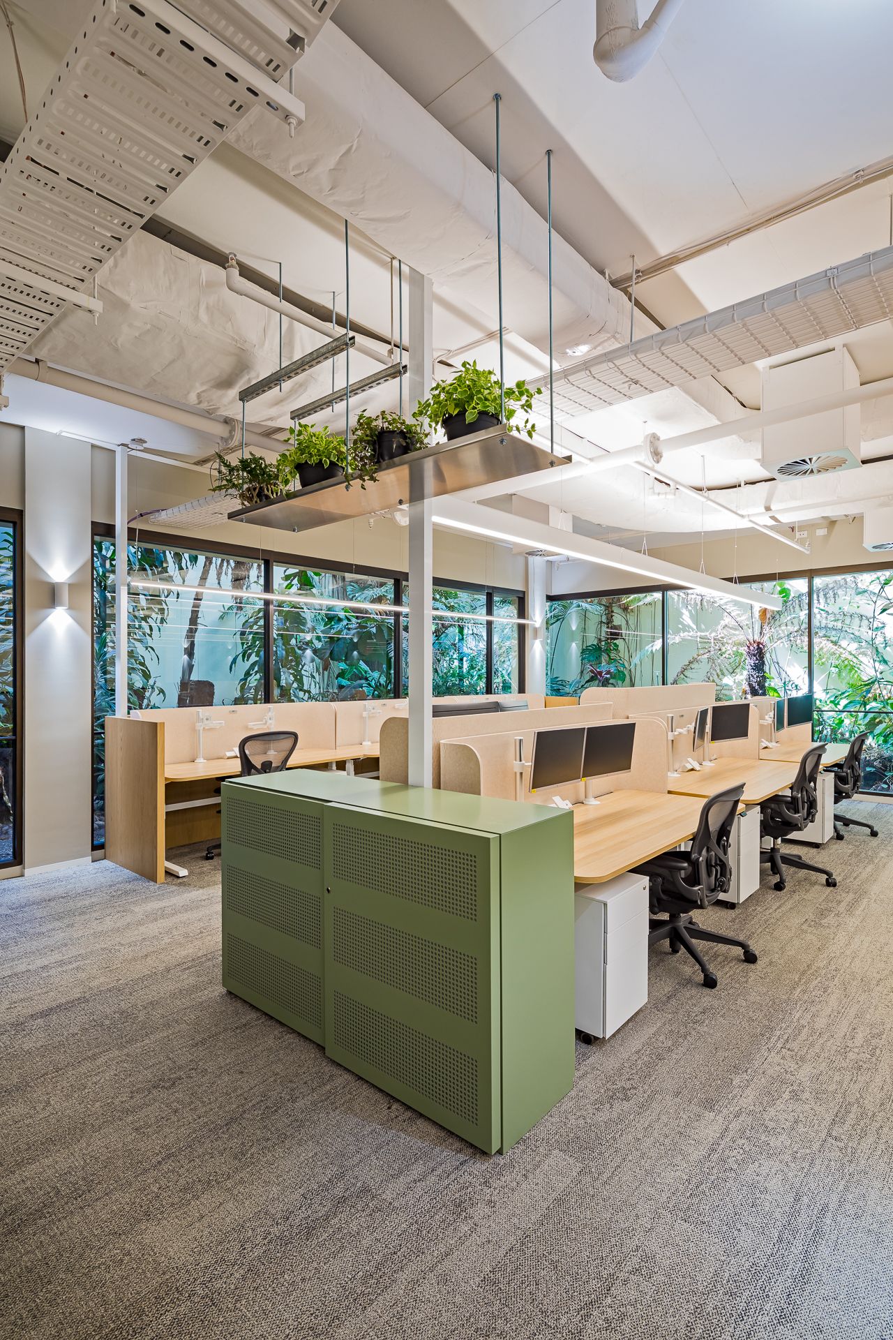Bright open office with timber workstations, a green storage unit, ergonomic chairs and hanging plants beside large garden-view windows.