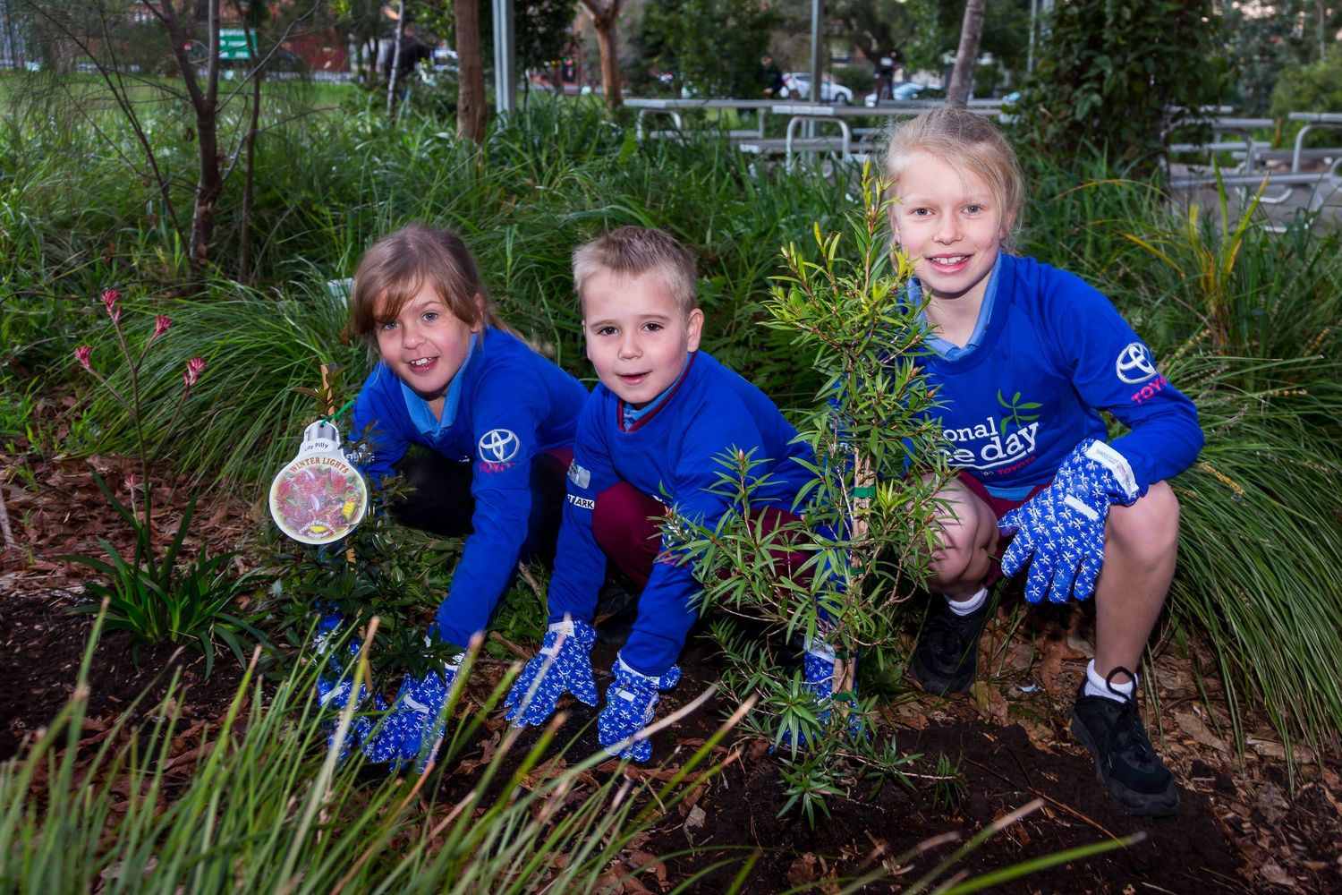Three children in blue sports shirts and gardening gloves kneel in a garden bed planting a small native shrub together.