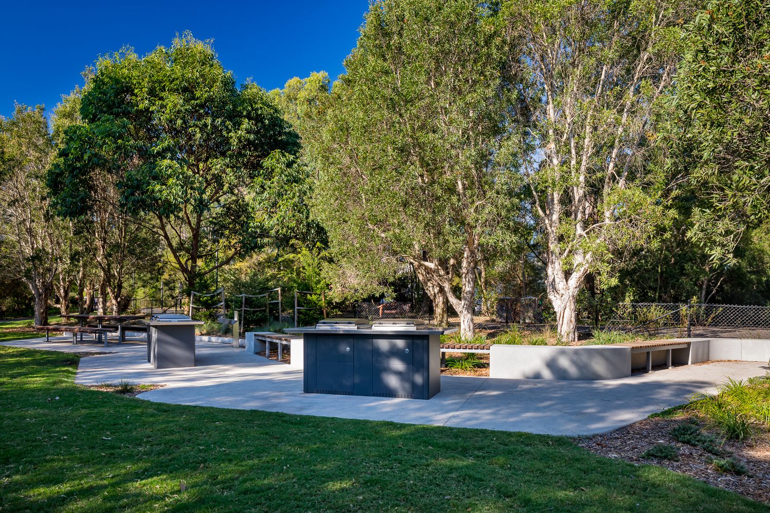 Outdoor barbecue and picnic area with paved patio, benches and a grassy lawn surrounded by tall gum trees in Sydney Park.