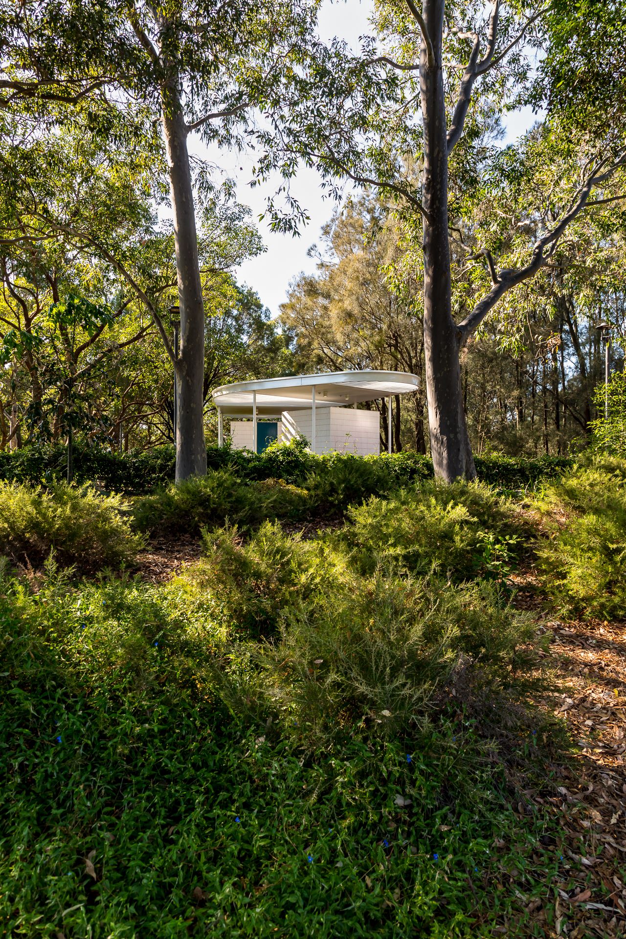 Small white park amenities building with a curved roof nestled among eucalyptus trees and lush green shrubs.