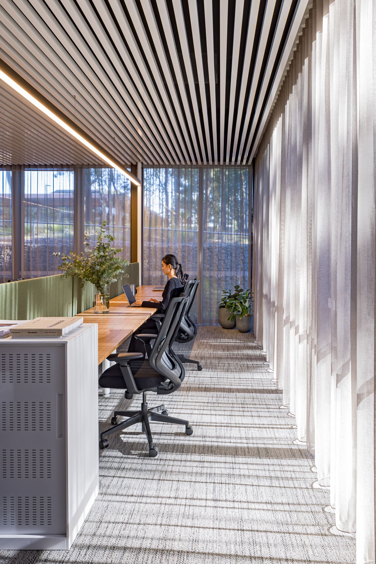 Woman working on a laptop at a long wooden desk in a modern office with slatted timber ceiling, sheer curtains, and tall windows.
