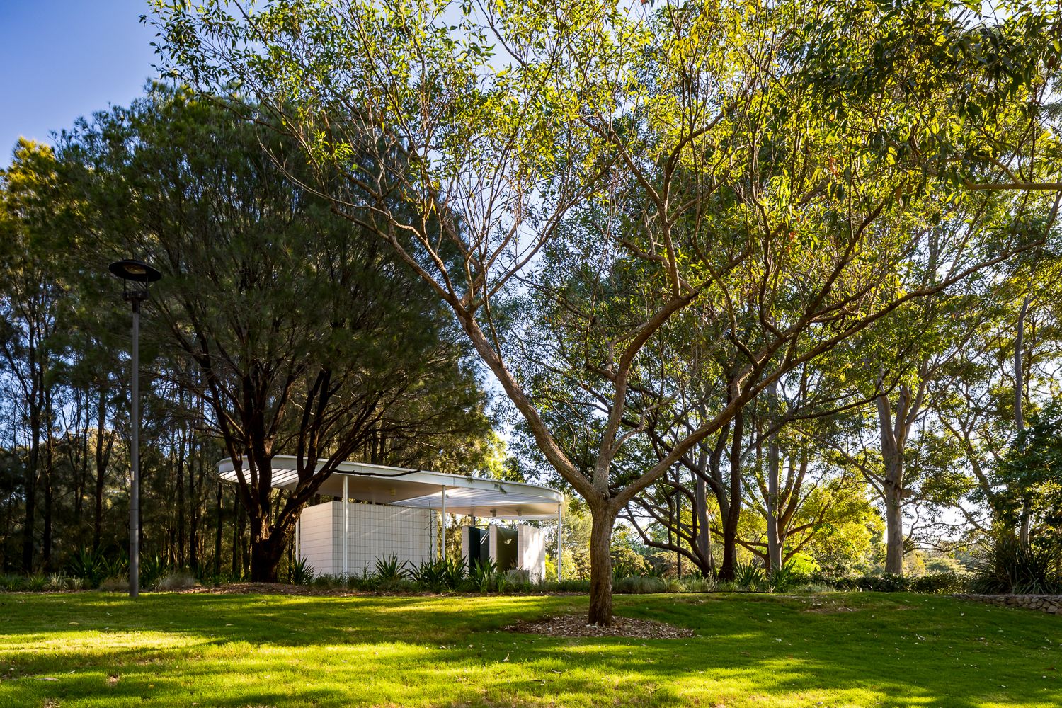 Small white pavilion nestled among tall trees, viewed across a sunlit green lawn in a leafy park.