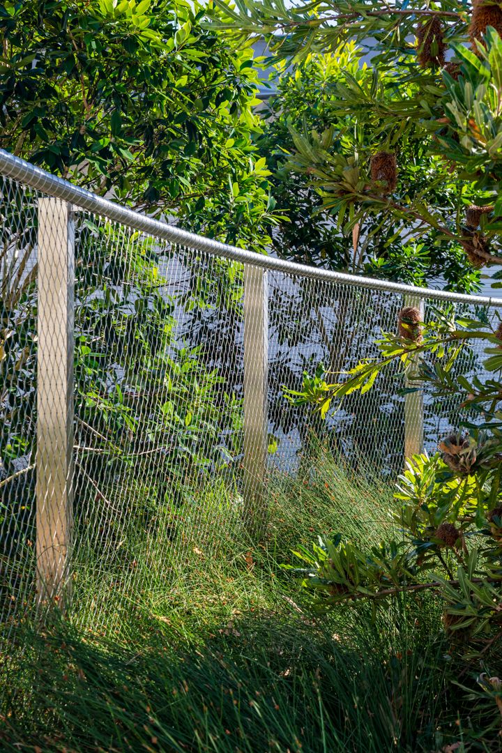 Curved wire mesh fence with timber posts and a steel handrail surrounded by lush green native plants, grasses and banksia foliage.