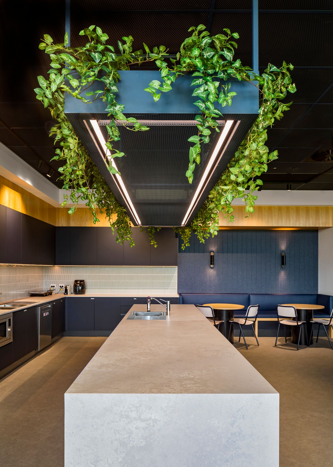 Modern staff kitchen with a large stone island, hanging planter with trailing greenery and dark cabinetry beside a dining area.