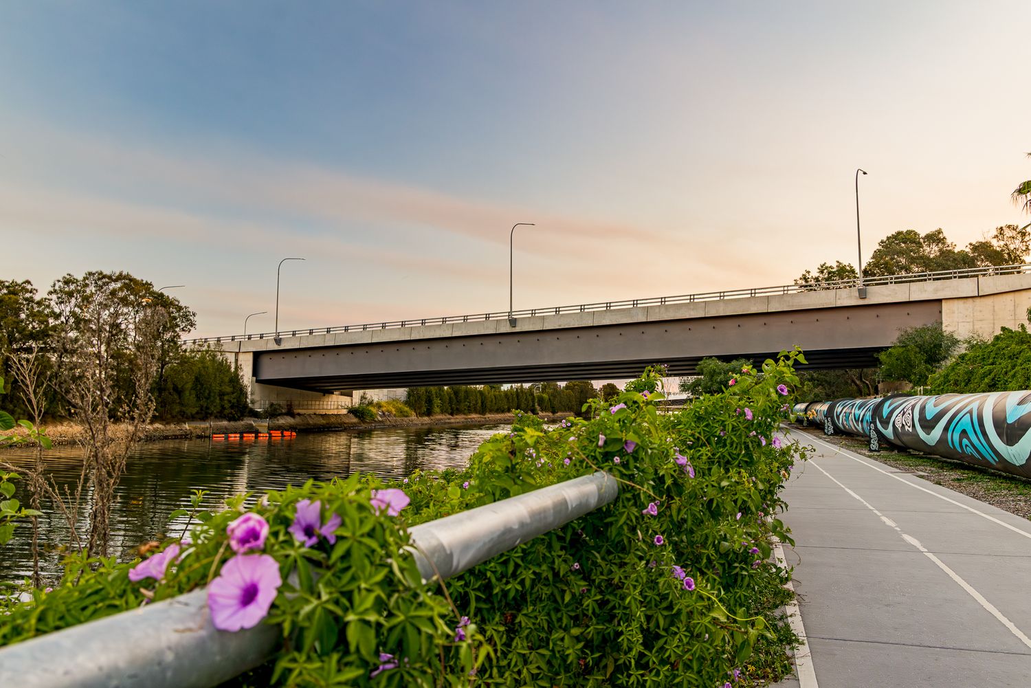 Pink flowering vines beside a waterfront path with a road bridge, colorful graffiti-covered wall and calm water at dusk.