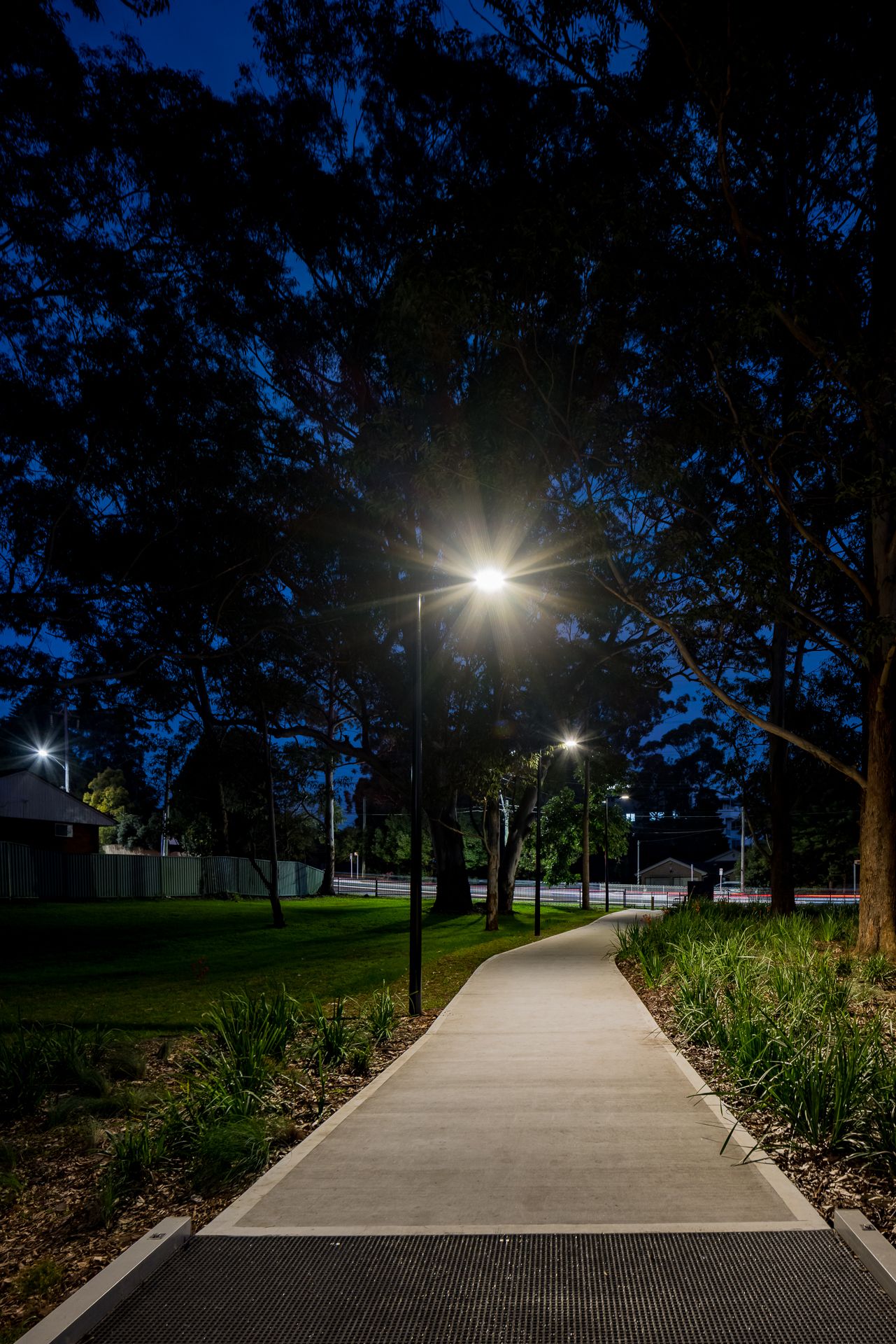 Night view of a smooth park pathway with glowing streetlights, a metal grate section, grassy lawn and native garden beds beneath tall trees.