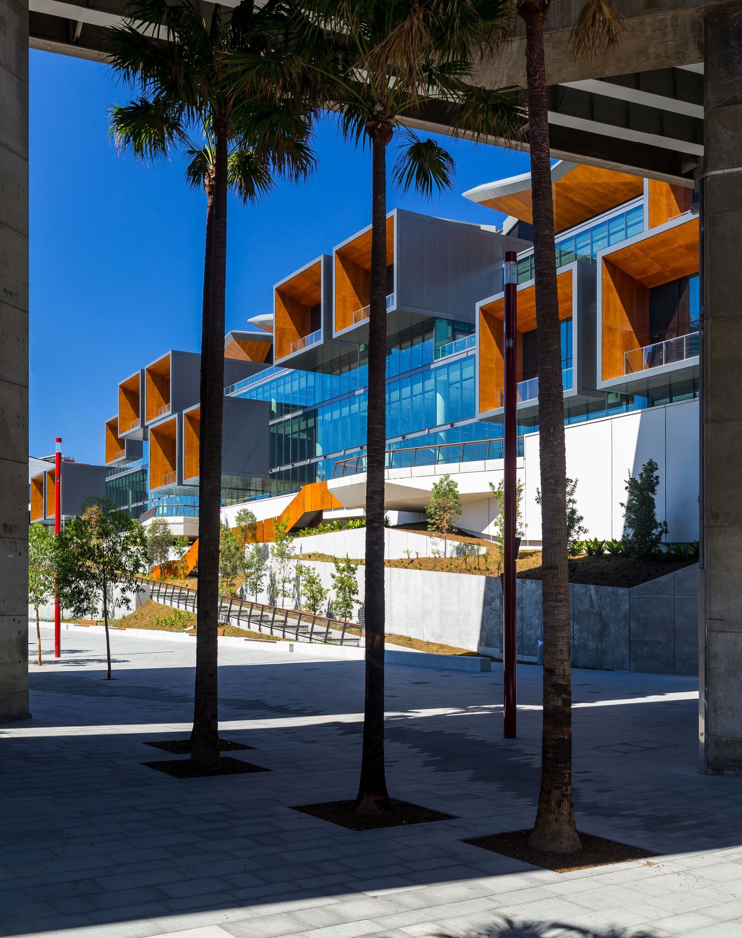 Palm trees and concrete columns frame a modern building featuring orange timber balconies and glass walls against a deep blue sky.
