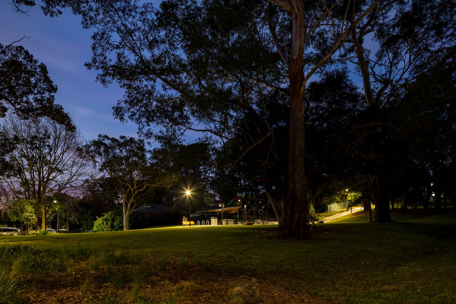 Grassy open park lawn at dusk with large eucalyptus trees and a softly lit picnic shelter glowing in the distance.