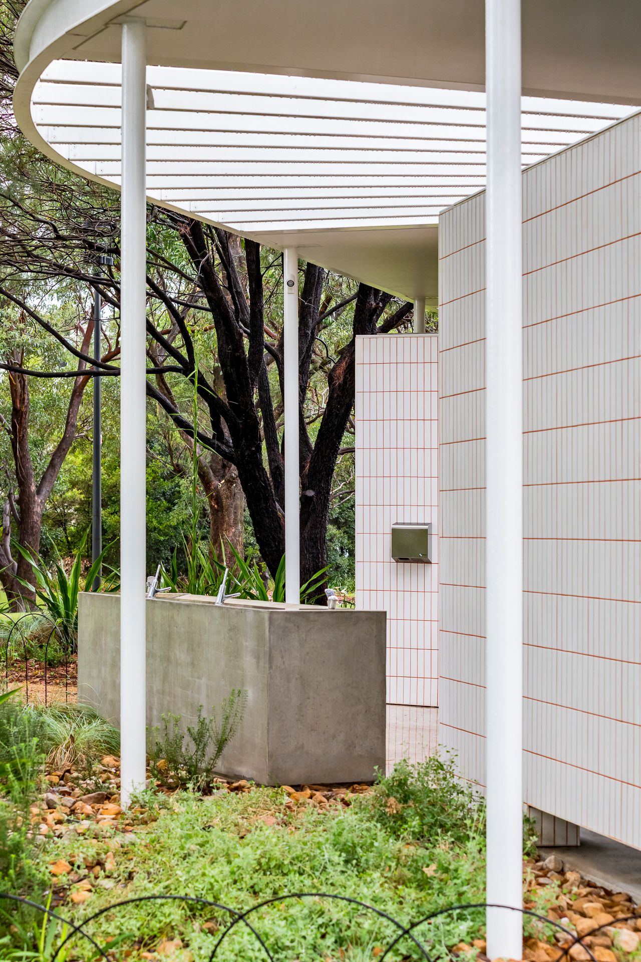 Detail of a white tiled park toilet block with slender columns, curved canopy and concrete basin surrounded by native plants.