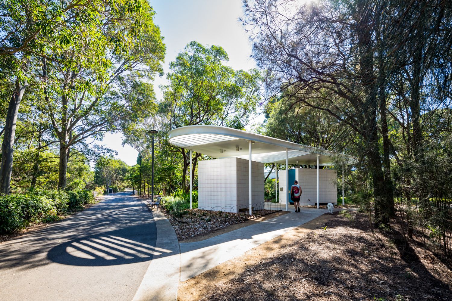 Small modern white pavilion with a flat canopy roof beside a curving path, surrounded by tall eucalyptus trees in dappled sunlight.